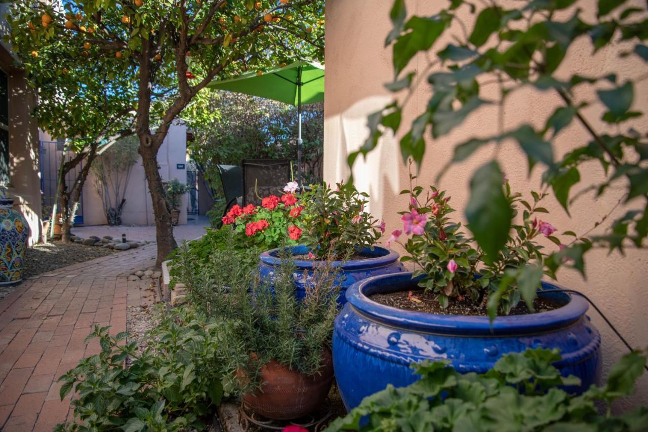 Adobe Rose Inn Tucson Eksteriør billede