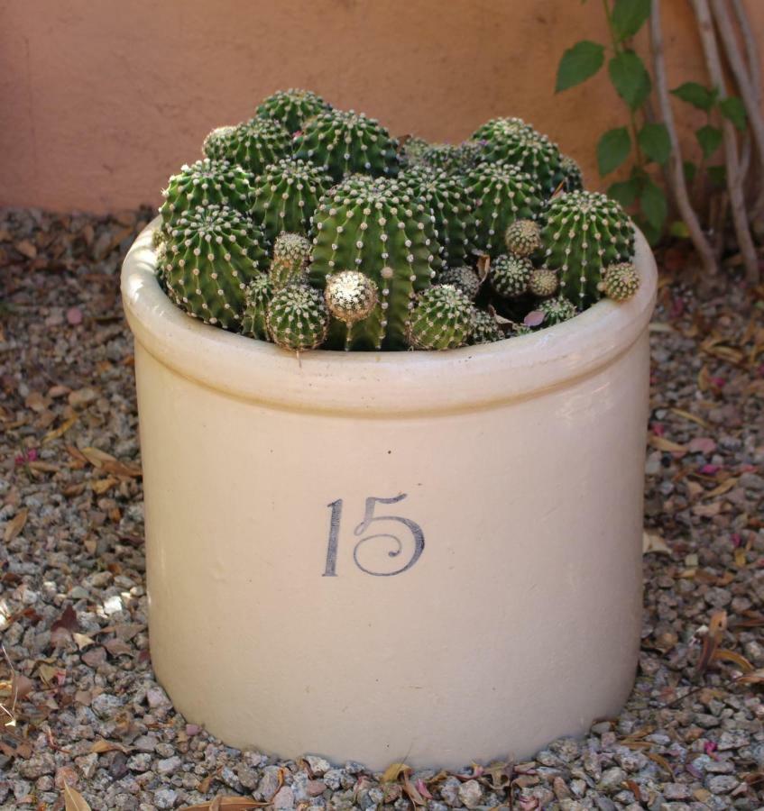 Adobe Rose Inn Tucson Eksteriør billede